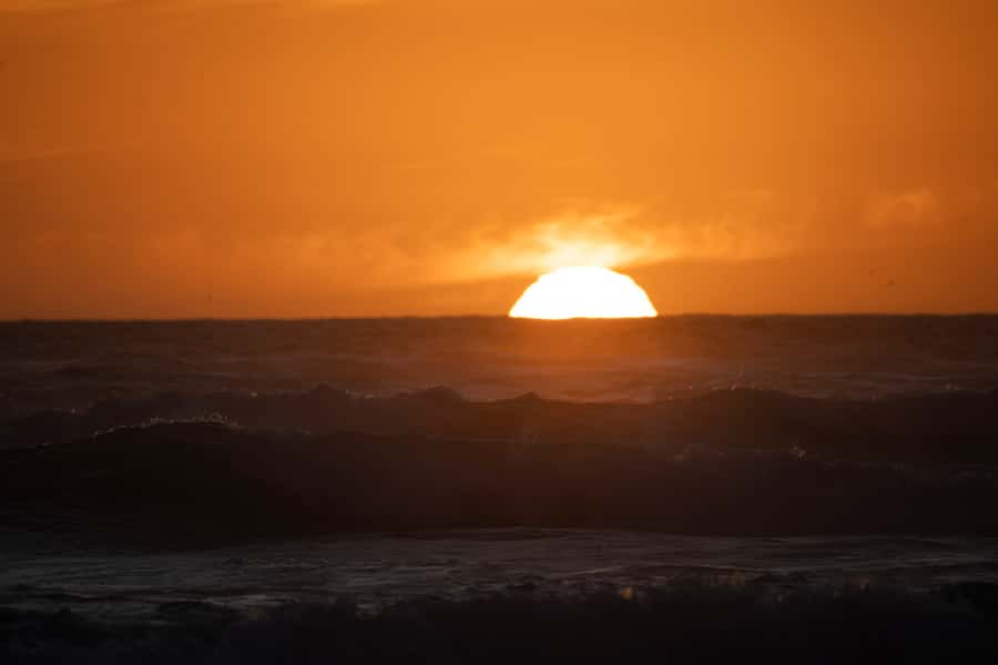 Port Lincoln: Lincoln National Park Sunset Sand Dunes Tour - Wildlife watching after the heat of the day