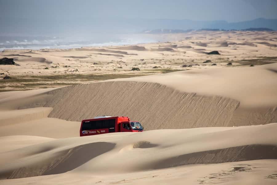 Port Stephens: Worimi National Park Sandboarding Adventure - Key points before you book