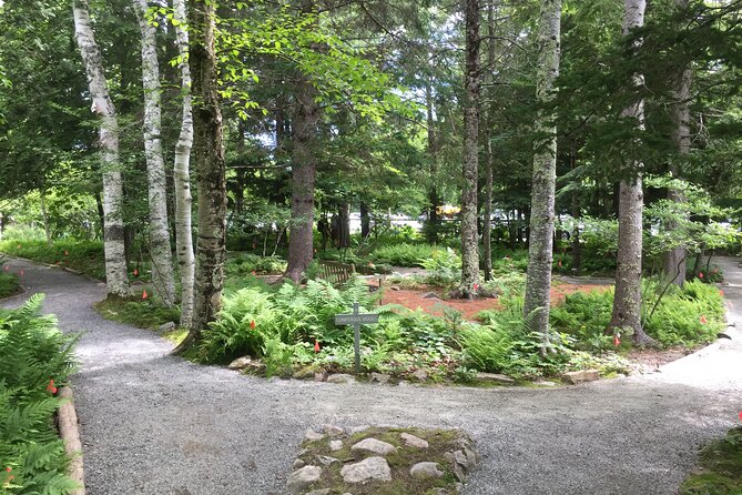 Premium Narrated Bus Tour of Bar Harbor and Acadia National Park (3.5 Hours) - How the timing shapes your day