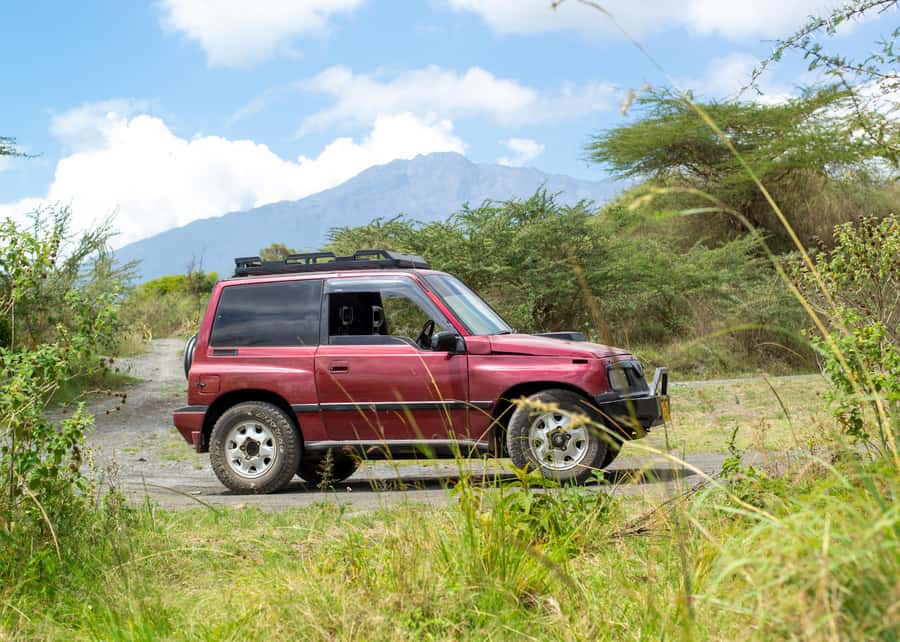 Private 4x4 Vitara Safari in Arusha National Park - What the $245 price really covers