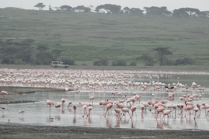 Private 5 Days Camping Tour in Serengeti National Park - Day 1: Lake Manyara, birds and Rift Valley views