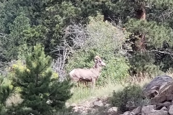 Private and Personalized Three Hour Morning Tour of Rocky Mountain National Park - Key points to know before booking
