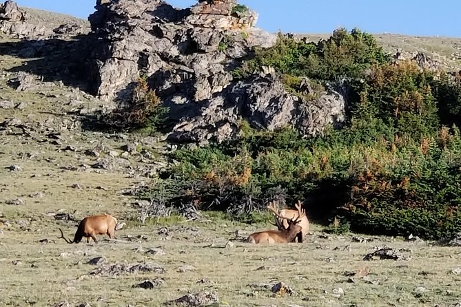 Private and Personalized Three Hour Morning Tour of Rocky Mountain National Park - Starting in the Estes Valley