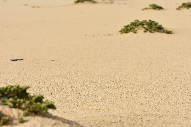 Private Aruba National Park Hiking & Natural Pool Swimming - Who will enjoy this tour most