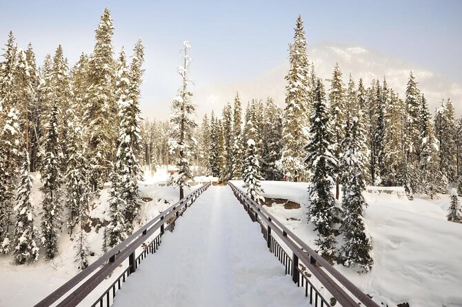 Private Banff and Yoho National Park Tour with Moraine Lake - Takakkaw Falls: the day’s most powerful waterfall