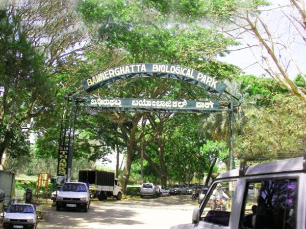 Private Bannerghatta National Park Day Excursion - Key points to know before you go