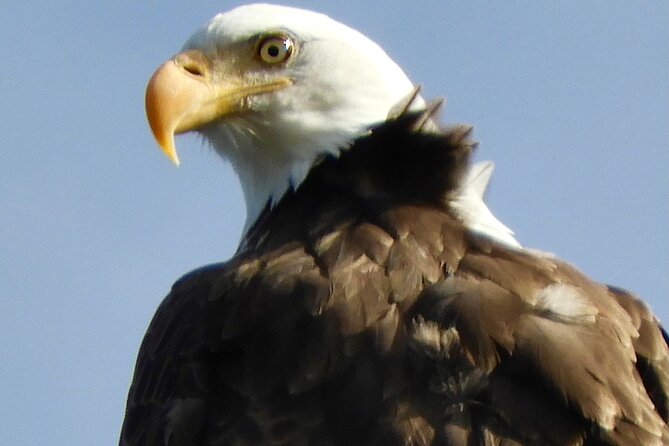 Private Birding Hike in Rocky Mountain National Park - A full mountain day from Arvada to Rocky Mountain National Park