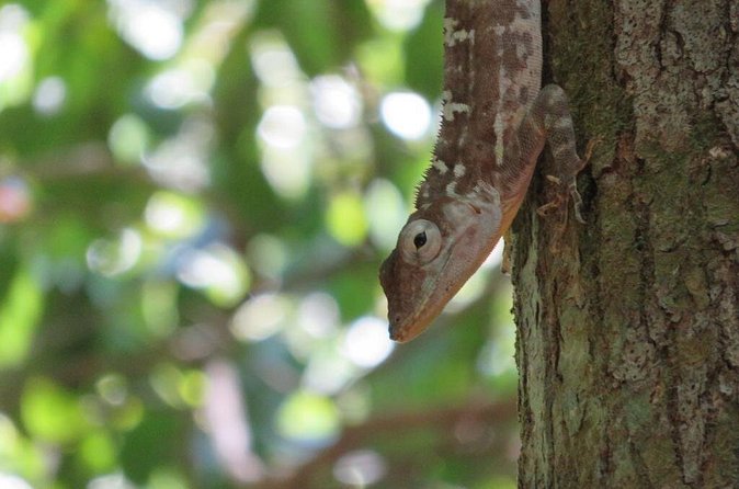 Private Boat Nature Tour of Los Haitises National Park - What the $160 price really covers