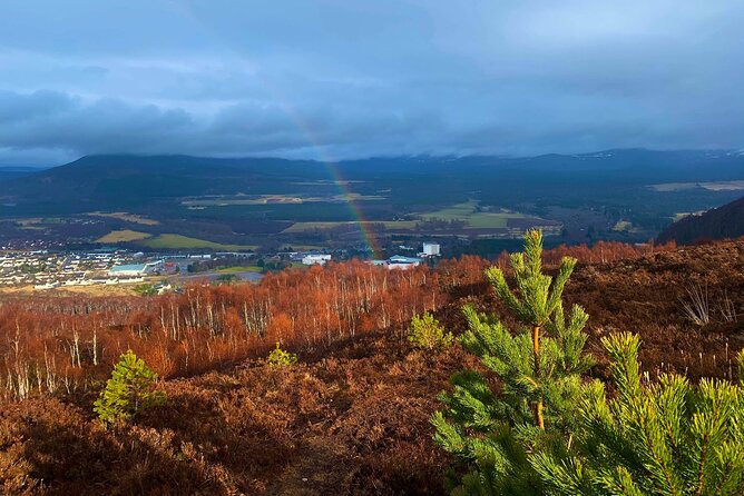 Private Cairngorm National Park tour - Key things to know before you book