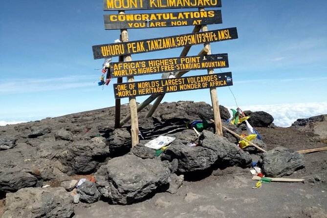 Private Day Tour and Hike in Kilimanjaro National Park - What this one-day Kilimanjaro hike really offers