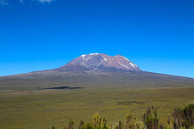 Private Day Tour and Hike in Kilimanjaro National Park - From Arusha to Marangu Gate