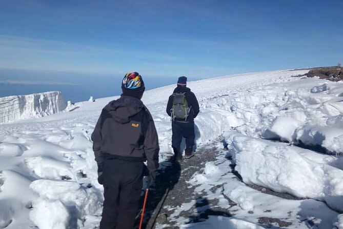Private Day Tour and Hike in Kilimanjaro National Park - Walking through Kilimanjaro’s rainforest