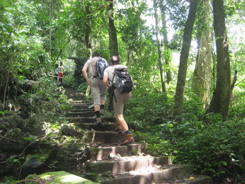 Private Day Tour: Cuc Phuong National Park from Hanoi - Who should book this Cuc Phuong day tour