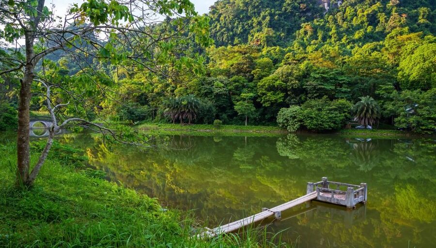 Private Day Tour: Cuc Phuong National Park from Hanoi - Three hours on the jungle trails