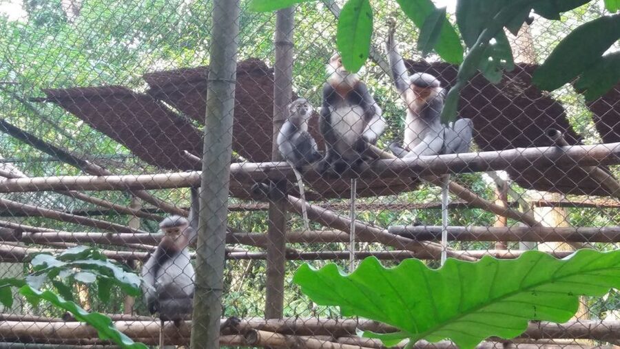 Private Day Tour: Cuc Phuong National Park from Hanoi - What the $130 price includes