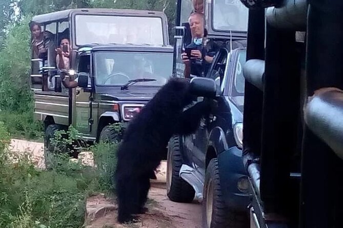 Private Day Tour in Yala National Park with Lunch - Entering Yala by safari jeep