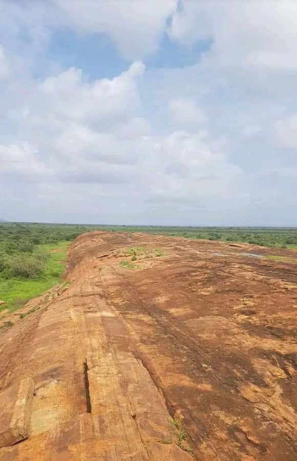 Private day tour to Tsavo East National Park - A 5:00 am start from the coast