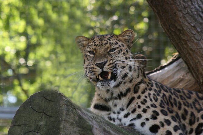 Private Day Trip to Yala National Park from Colombo - Why this Colombo to Yala trip is such a demanding day