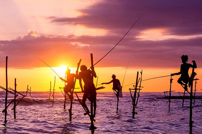 Private Day Trip to Yala National Park from Colombo - Tissamaharama is the practical meal break
