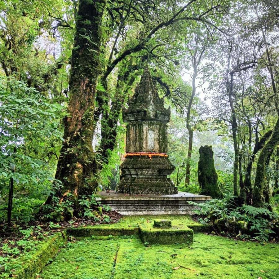 Private Doi Inthanon National Park Sightseeing Day Tour - The King and Queen’s pagodas