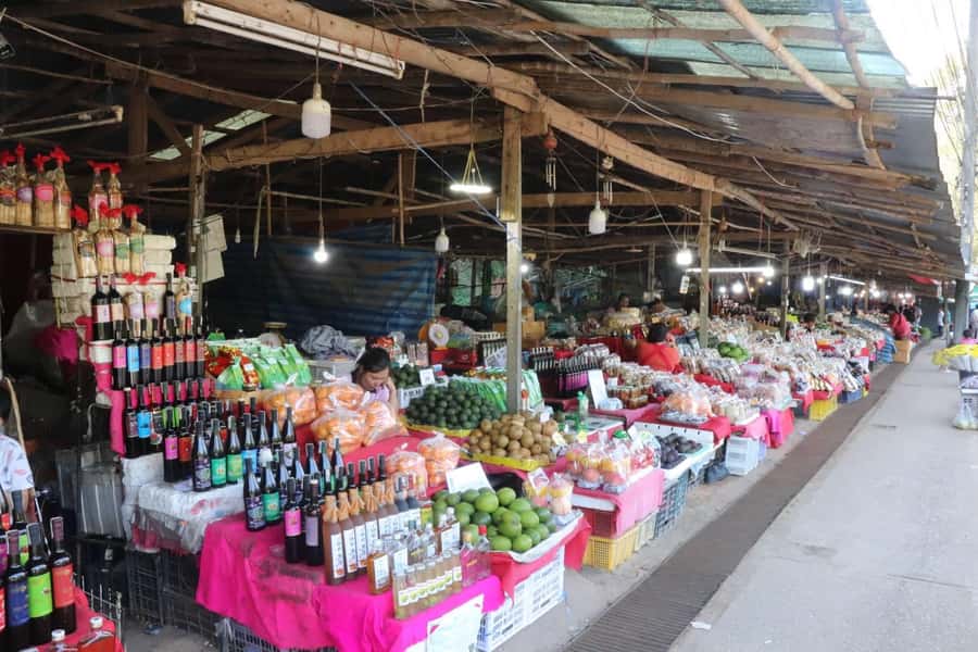 Private Doi Inthanon National Park Sightseeing Day Tour - Ban Mae Klang Luang and the White Karen community