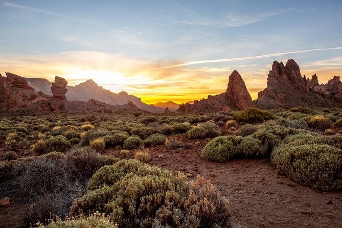 Private excursion to Teide National Park - What the $118.52 price really buys you