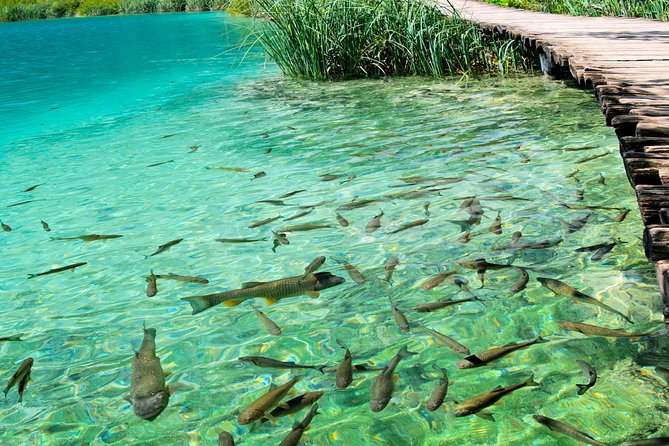 Private experience of Rastoke and Plitvice Lakes from Zagreb - Rakovica cheese tasting and a local food pause