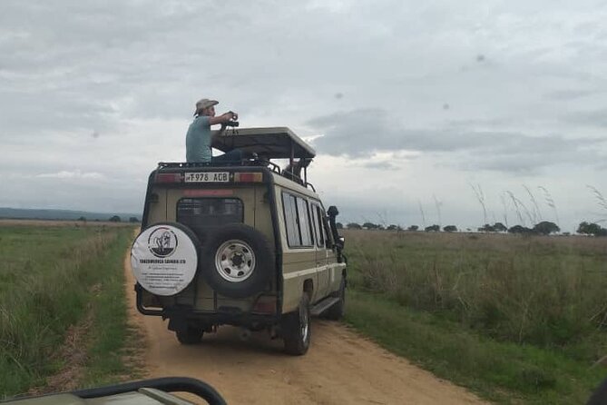 Private Full-Day Trip to Mikumi National Park from Dar es Salaam - What the $550 price really covers