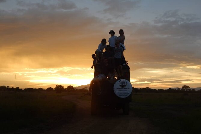 Private Full-Day Trip to Mikumi National Park from Dar es Salaam - The return journey is part of the safari