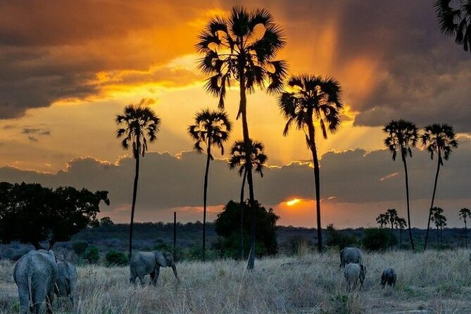 Private Full-Day Trip to Mikumi National Park from Dar es Salaam - Who should book this Mikumi day trip