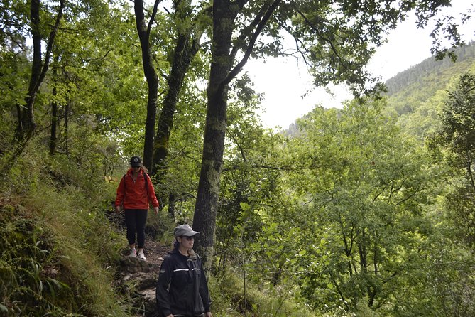 Private Geres National Park Tour with Lunch and Transfers - What the private format changes