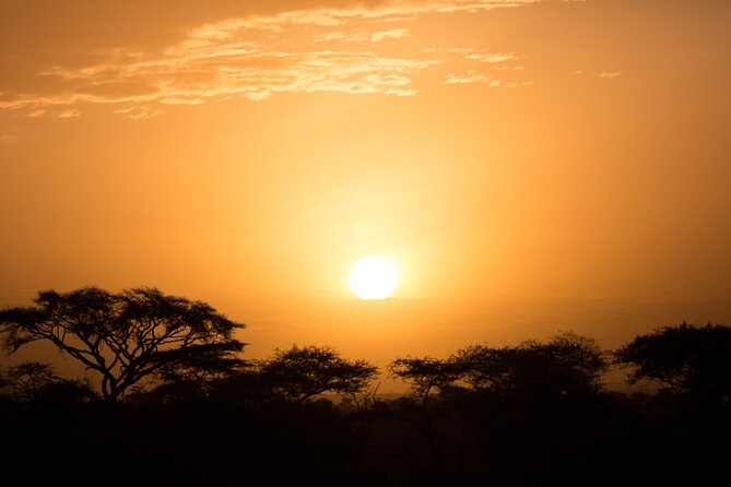 Private Group Serengeti Safari, Crater & Tarangire National Park - What the supplied experiences tell you about service