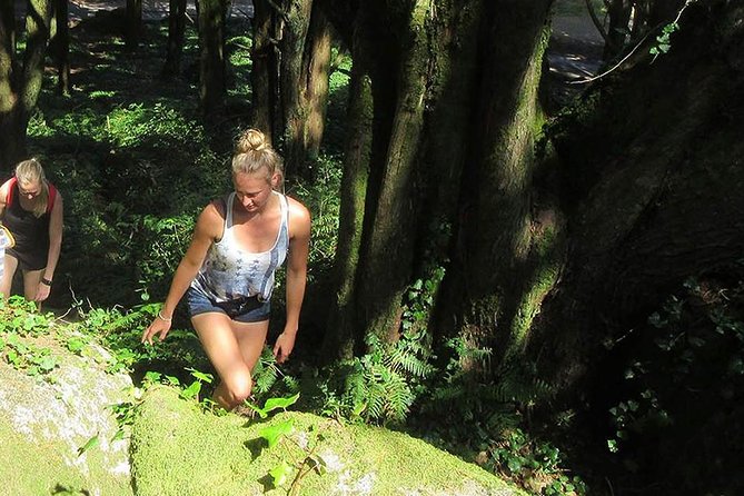 Private Guided Hike in Sintra-Cascais National Park, Lisbon - Is $114.15 per person a fair price?
