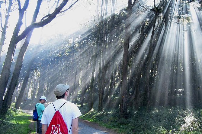Private Guided Hike in Sintra-Cascais National Park, Lisbon - Timing, meeting points, and what to bring