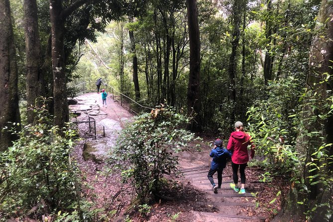 Private Guided Tour from Sydney to Blue Mountains National Park - Leura, Blackheath, and the quieter side of the day