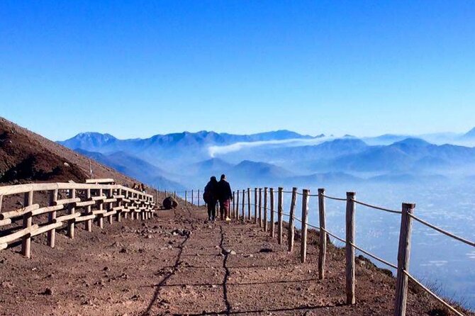 Private Half-Day Sightseeing Tour of Vesuvius National Park - Is the $144.19 price good value?