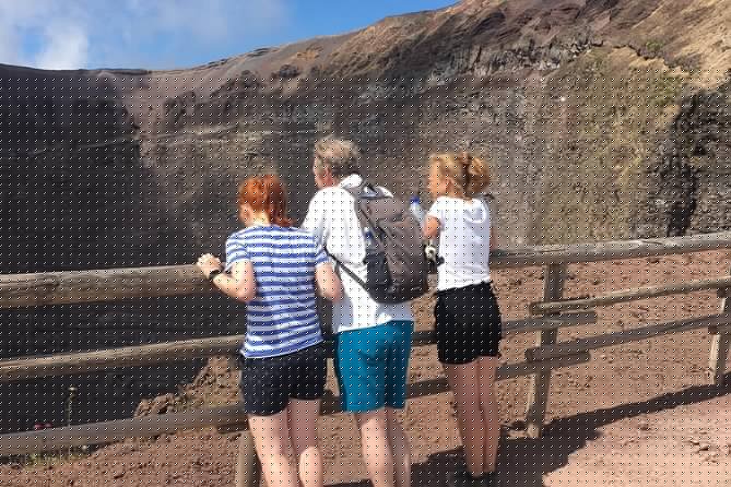 Private Half-Day Sightseeing Tour of Vesuvius National Park - Timing, weather, and cancellation details
