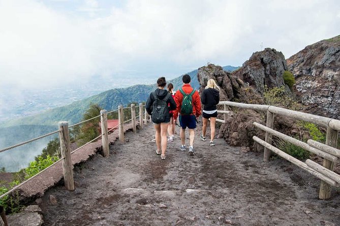 Private Half-Day Sightseeing Tour of Vesuvius National Park - The private ride from Naples
