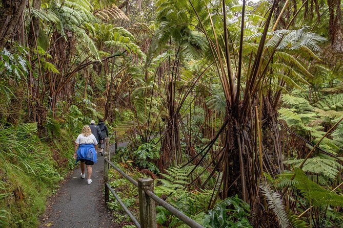 Private - Hawaii Volcanoes NP and Black Sand Beaches Tour - Food and drinks make the long day easier