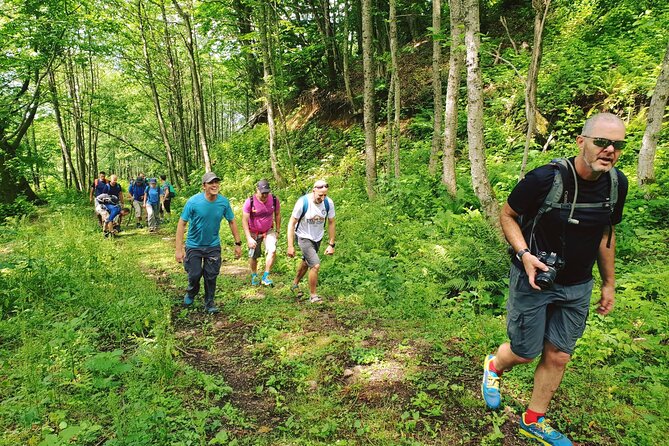 Private Hiking Tour to Machakhela National Park from Batumi - The 8 km Mtavarangelozi trail