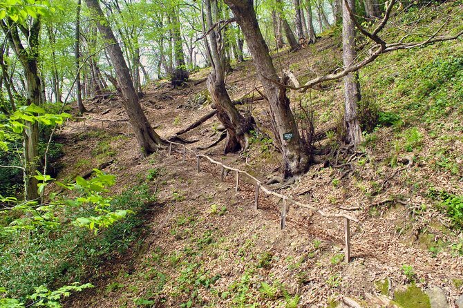 Private Hiking Tour to Machakhela National Park from Batumi - Timing, comfort, and what the seven hours mean