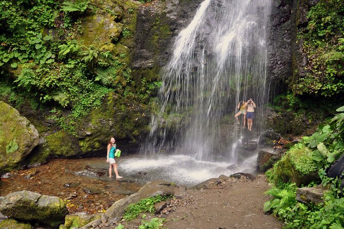 Private Hiking Tour to Mtirala National Park from Batumi - Key points to know before booking