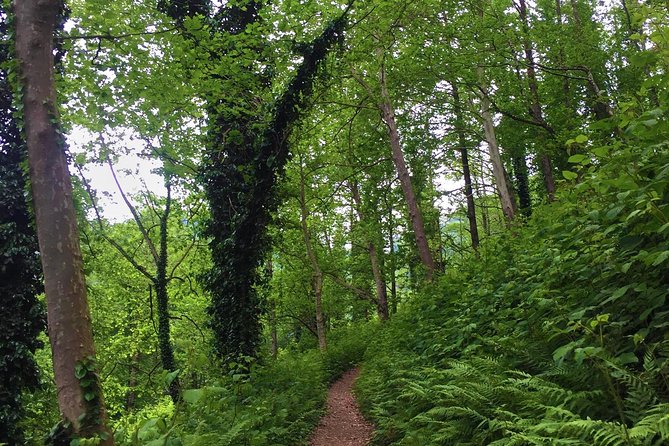 Private Hiking Tour to Mtirala National Park from Batumi - From Batumi to Mtirala in about 40 minutes