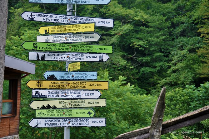 Private Hiking Tour to Mtirala National Park from Batumi - What private touring changes