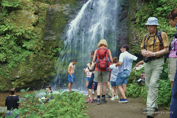 Private Hiking Tour to Mtirala National Park from Batumi - The included extras and what they mean