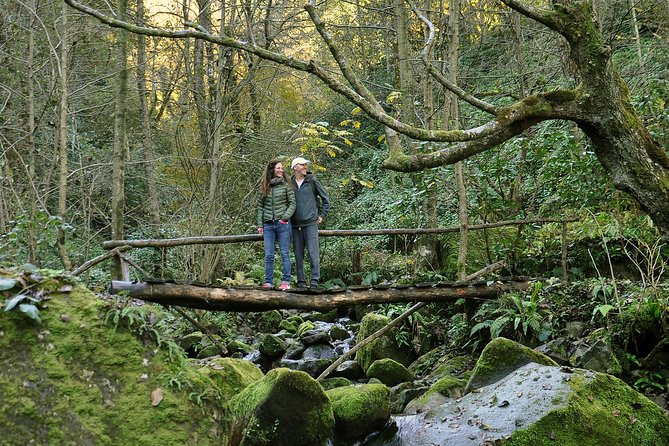 Private Hiking Tour to Mtirala National Park from Batumi - The Chestnut Trail, a 6-kilometer forest walk