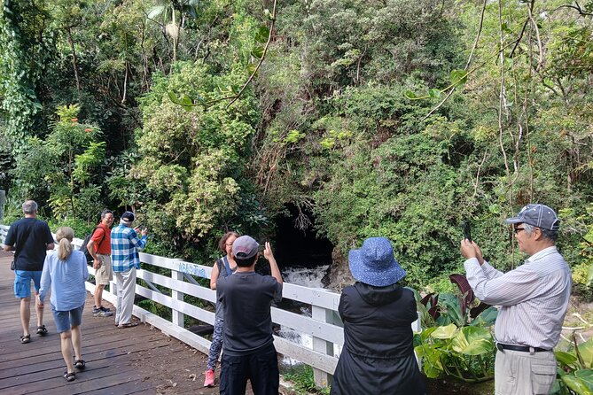 Private Hilo Shore Excursion Volcano National Park up to 10 - Hawaiʻi Volcanoes National Park: crater, steam, and lava