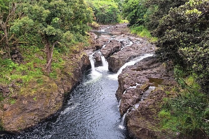 Private Hilo Shore Excursion Volcano National Park up to 10 - Mauna Loa macadamia nuts and Big Island Candies