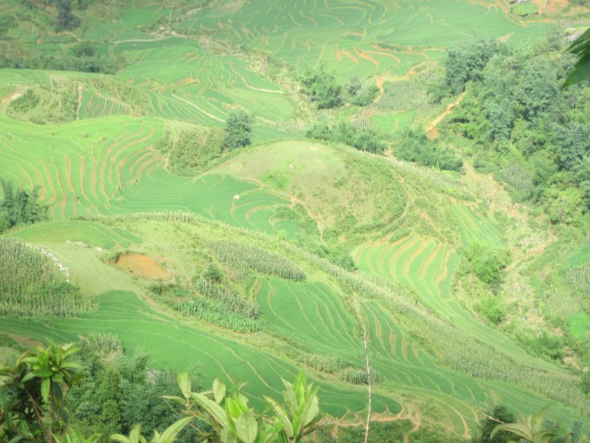 Private Hoang Lien National Park & Tribal Village Trek - Timing, transport, and the private advantage