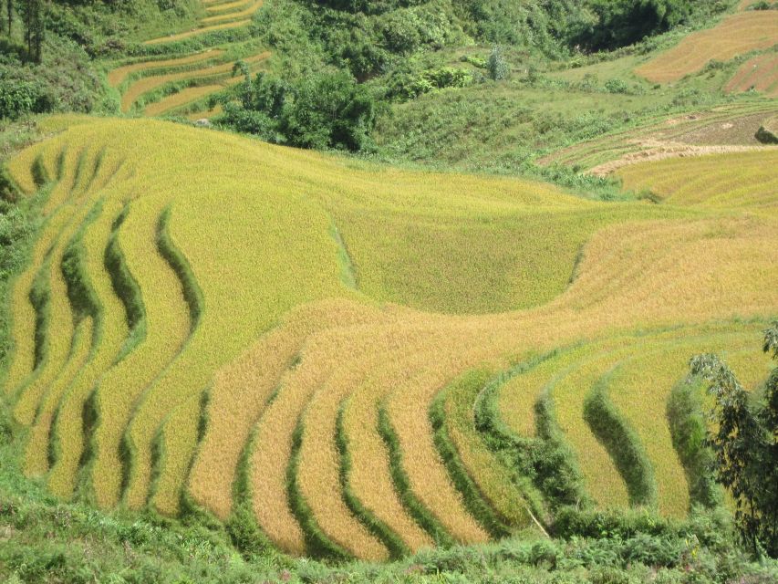 Private Hoang Lien National Park & Tribal Village Trek - What the weather can change